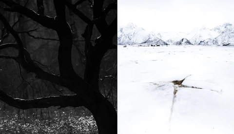 A Closer Look at High Key and Low Key Photography
