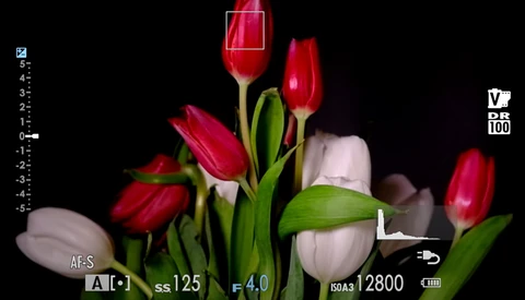 A Stills Review of the Fujifilm X-E4 Mirrorless Camera