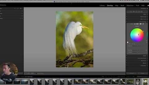 5 Helpful Tips for Working in Lightroom