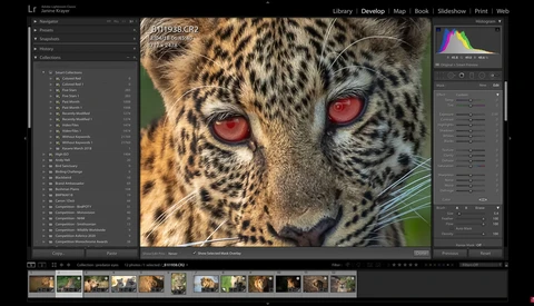 Post-Processing Cat's Eyes in Lightroom Classic