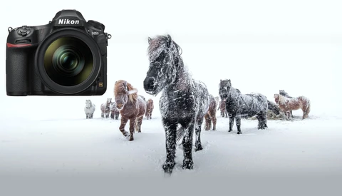 What's It Like Photographing Icelandic Horses in a Snowstorm