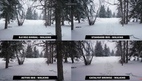 Do You Really Need a Gimbal? Sony IBIS Versus DJI RS2 Gimbal