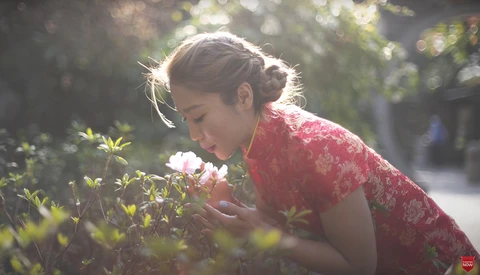 Are Modern or Vintage Lenses Better for Your Work?