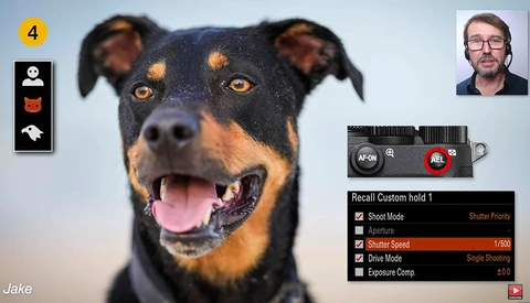A Comprehensive Review of the Sony a1 Mirrorless Camera