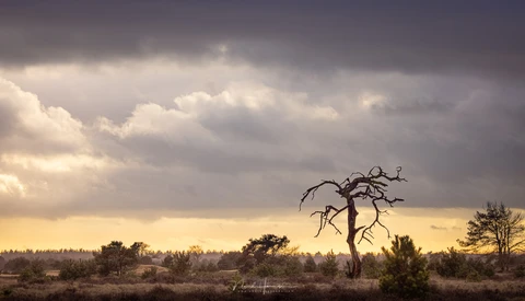 The Six Pillars for a Good Landscape Photo