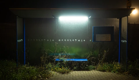 What the Fog? 7 Tips for Moody Photographs