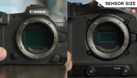 Canon R5 Versus Canon C70: Which Should You Buy for Video?