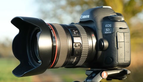 Lens Hoods: Do You Actually Need Them?