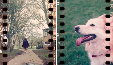 How To Get Real Sprocket Holes in Your Images