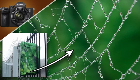 Use Trash To Make DIY Backgrounds for Macro Photographs