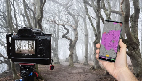How to Predict the Most Important Factor for Incredible Forest Photography