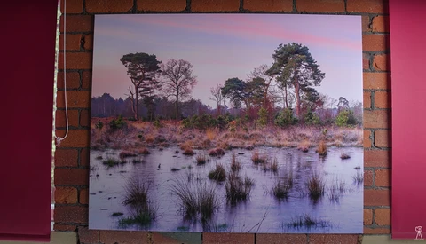 How to Create Large Prints of Your Photos