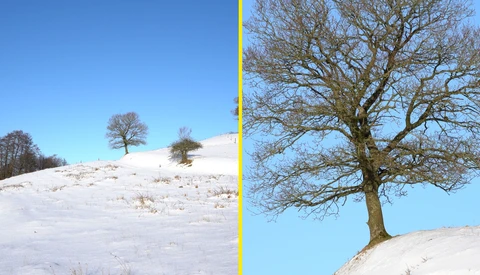 The Tamron 28-200mm Lens Is an Excellent Choice for Landscape Photography