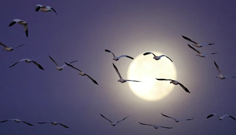Common Low-Light Photography Mistakes