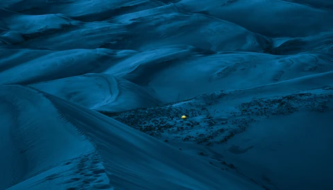 Some Inspiration: Finalists of the Second Annual Whalebone Photo Contest