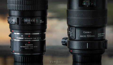Which Is the Better Choice, A Macro Lens or Extension Tubes?