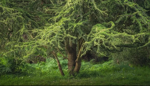 Helpful Tips for Using a Telephoto Lens for Landscape Photography