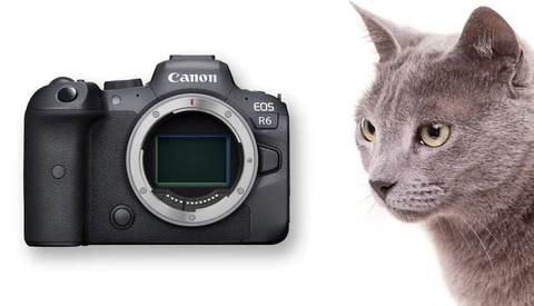 What Camera Gear Would You Buy if You Had $4,000 to Spend?