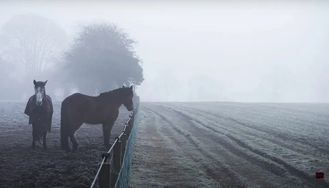 How To Use Negative Space to Improve Your Photography