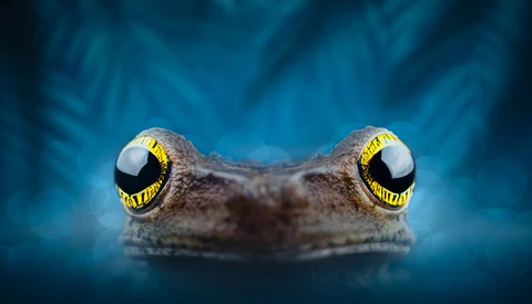 Fstoppers Photographer of the Month (May 2021): Thomas Andlauer
