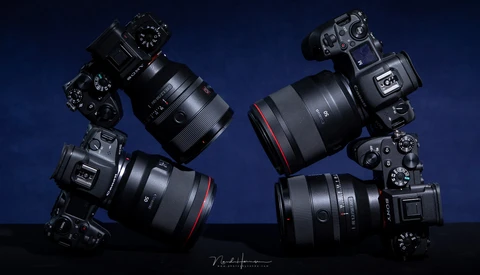 Would You Prefer the Canon EOS R5 or the Sony a1?