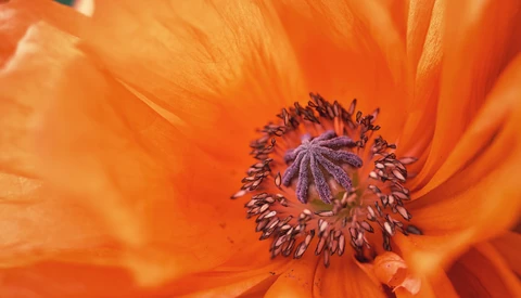 One Simple Tip to Improve Your Photography