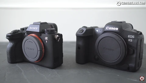Comparing the Video Quality Between the Canon EOS R5 and Sony a1