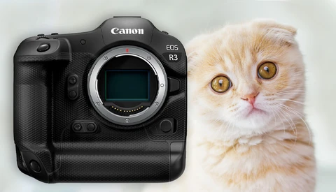 Is the Global Chip Shortage Going to Delay the Canon R3 and Nikon Z 8?