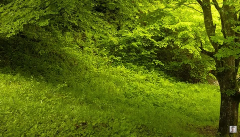 How to Choose Camera Settings for Landscape Photography