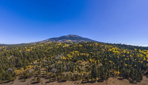 Own a Drone in the US? You've Got to Do This Before Your Next Flight