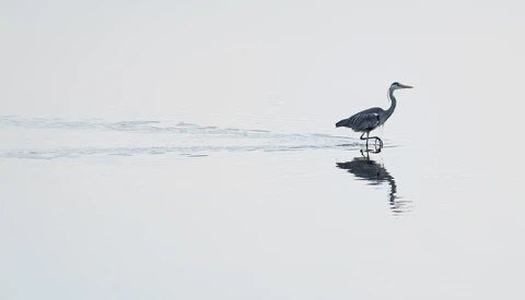 12 Assignments To Take Your Photography To the Next Level