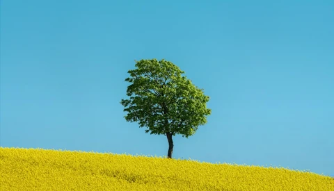 Using a Supertelephoto Zoom Lens for Minimalist Landscape Photography