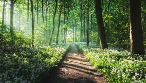 How to Approach Compositions in Landscape Photography