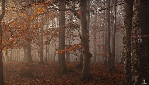 7 Common Mistakes in Landscape Photography