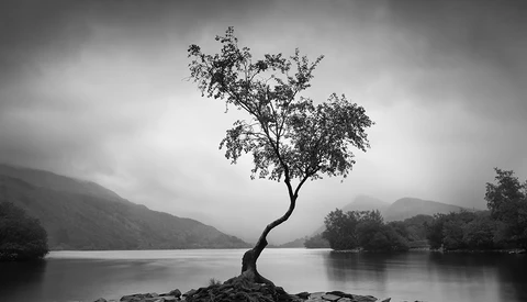 Creative Ideas for Landscape Photos in Bad Weather