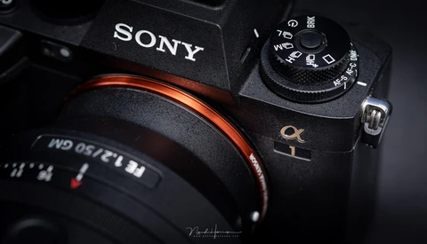 Sony a1: The Good, the Bad, and the Ugly