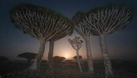 The Top Five Photography Spots in Socotra: This Place Is Beautiful