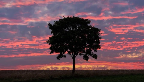 How To Get the Most Out of Summer Landscape Photography