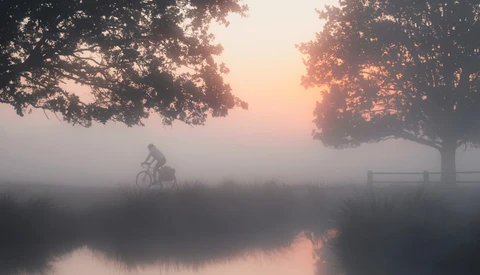 Person riding a bicycle along a misty waterside path at dawn, framed by trees with golden sunlight filtering through.