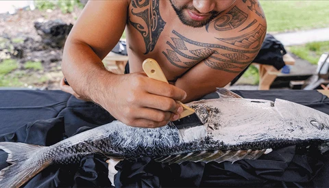Man with traditional Polynesian tattoos examining a large fish on dark fabric outdoors.