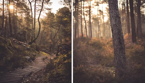 Why Would You Become a Landscape Photographer if You Don't Like Landscape Photography?
