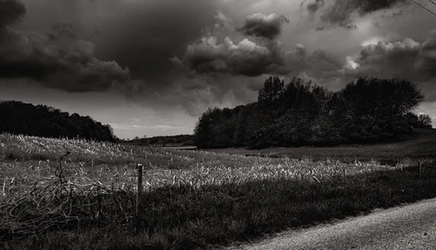 Harvested cornfield with dramatic storm clouds and tree line under dark sky.