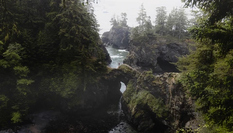 Rocky coastal landscape with moss-covered boulders, dense coniferous forest, and turquoise water visible between forested cliffs.