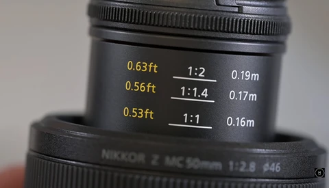 Which Nikon Macro Lens Is Right for You?