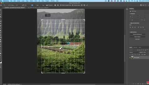 Screenshot of Photoshop with grid overlay applied to a landscape photograph of a vegetable garden.