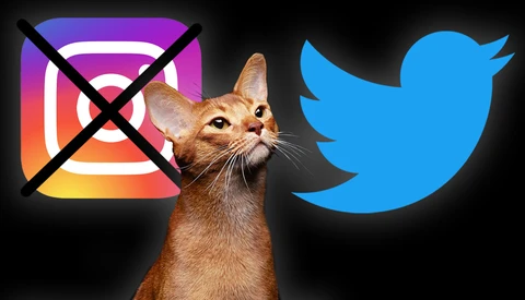 If Instagram Is No Longer a Photo-Sharing App, Should You Ditch It and Use Twitter Instead?
