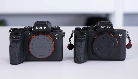 Comparing the Sony a1 to the a7R IV
