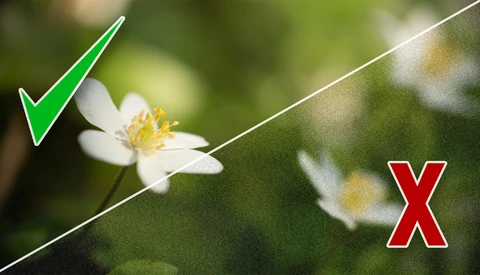 Here's Why You Should Stop Worrying About ISO Noise