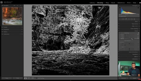 High-contrast black and white forest stream scene with dense foliage and rocky terrain.