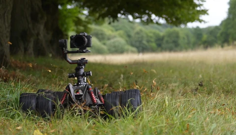 Mirrorless camera mounted on tripod with remote trigger in grassy field beneath tree.